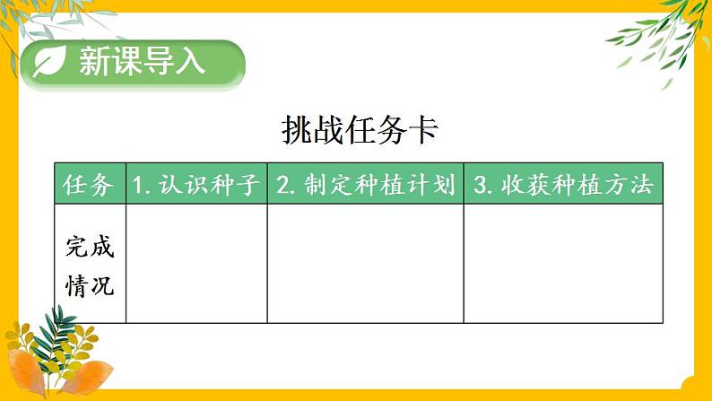 部编版道法二下 4 试种一粒籽 PPT课件+视频素材02