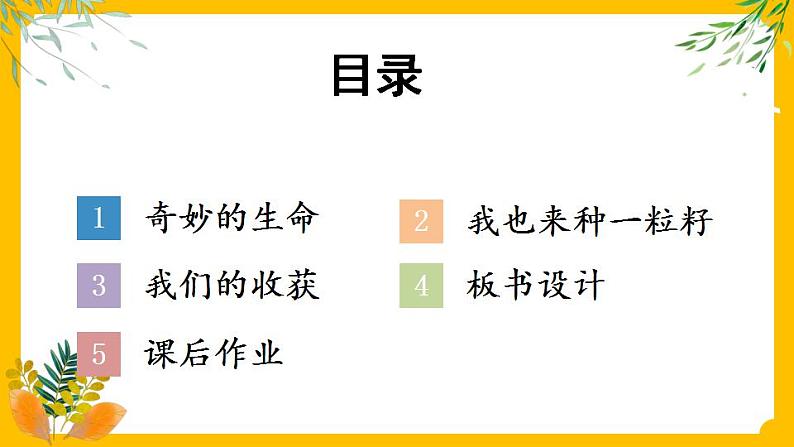 部编版道法二下 4 试种一粒籽 PPT课件+视频素材03