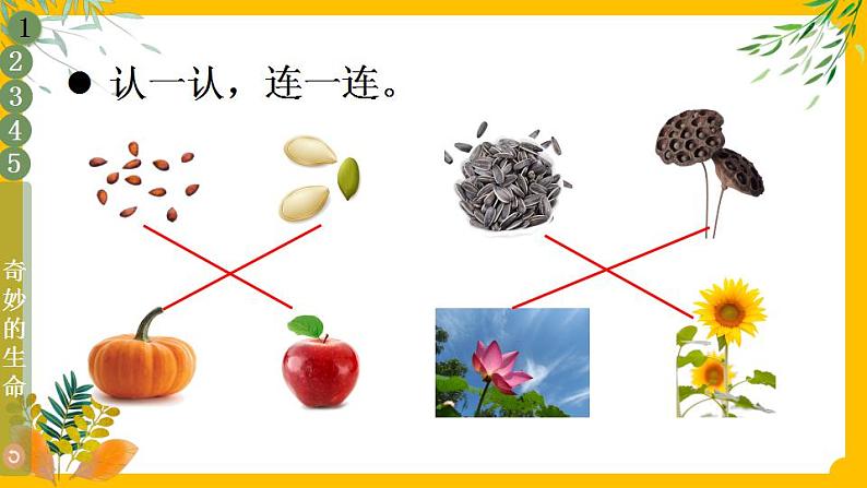 部编版道法二下 4 试种一粒籽 PPT课件+视频素材07