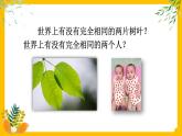 部編版道法三下 2 不一樣的你我他 課件PPT+視頻素材