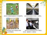四下道法 9 生活離不開他們 PPT課件+視頻素材