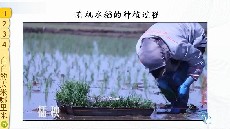 3.7《我们的衣食之源》课件第6页