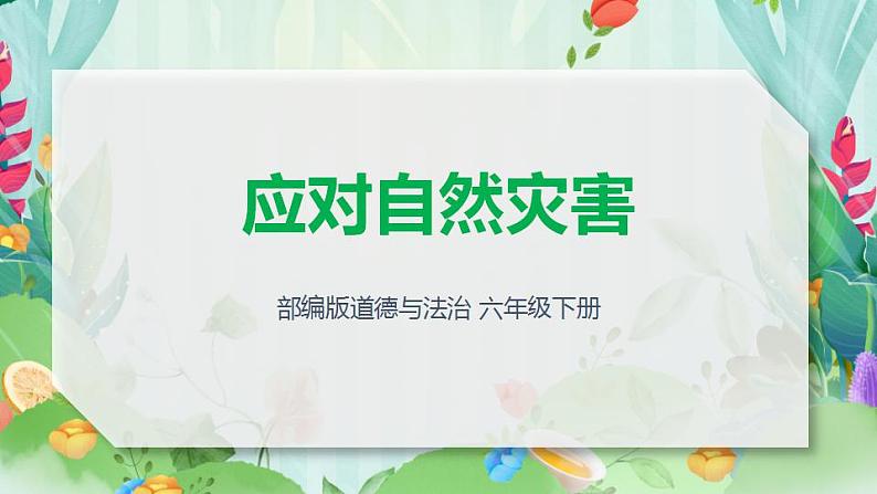 部编版六下道法 5 应对自然灾害 PPT课件+视频素材01