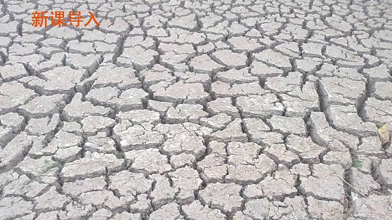 部编版六下道法 5 应对自然灾害 PPT课件+视频素材02