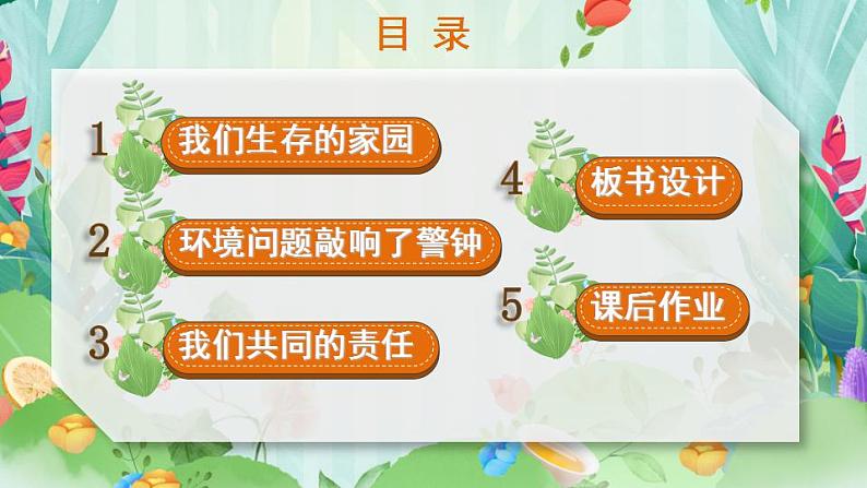 部编版六下道法 4 地球——我们的家园 PPT课件+视频素材03