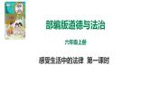 统编版道德与法治六年级上册 1 感受生活中的法律 课件