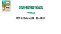 小学政治 (道德与法治)人教部编版六年级上册1 感受生活中的法律图文课件ppt