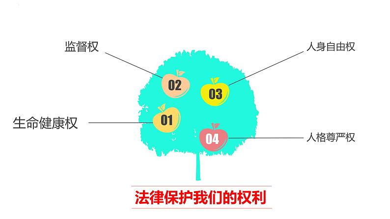 统编版道德与法治六年级上册 1 感受生活中的法律 课件06