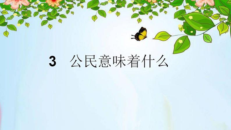 统编版道德与法治六年级上册 3 公民意味着什么(3) 课件02