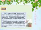 统编版道德与法治六年级上册 3 公民意味着什么(3) 课件