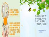 统编版道德与法治六年级上册 3 公民意味着什么(3) 课件