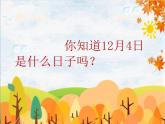 統(tǒng)編版道德與法治六年級(jí)上冊(cè) 2 憲法是根本法(2) 課件
