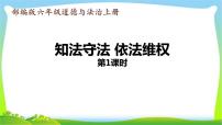 政治 (道德与法治)六年级上册9 知法守法，依法维权说课ppt课件