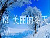 最新人教版部编版一年级道德与法治上册13美丽的冬天 优质课件