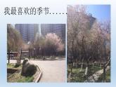 最新人教版部编版一年级道德与法治上册13美丽的冬天 优质课件