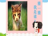 人教部编版一年级下册道德与法治7可爱的动物完美课件PPT