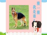 人教部编版一年级下册道德与法治7可爱的动物完美课件PPT