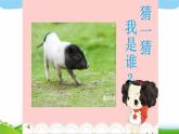 人教部编版一年级下册道德与法治7可爱的动物完美课件PPT