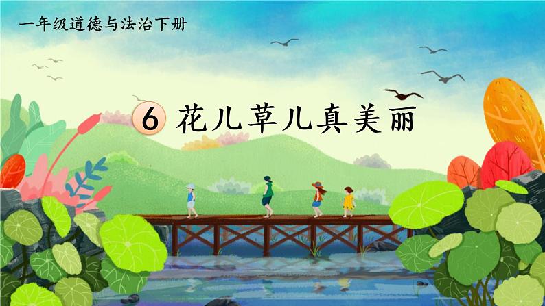 6 花儿草儿真美丽第2页