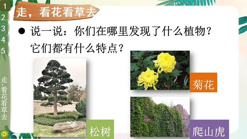 6 花儿草儿真美丽第4页