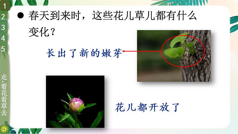 6 花儿草儿真美丽第5页