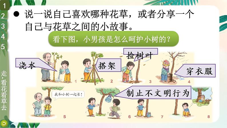 6 花儿草儿真美丽第7页