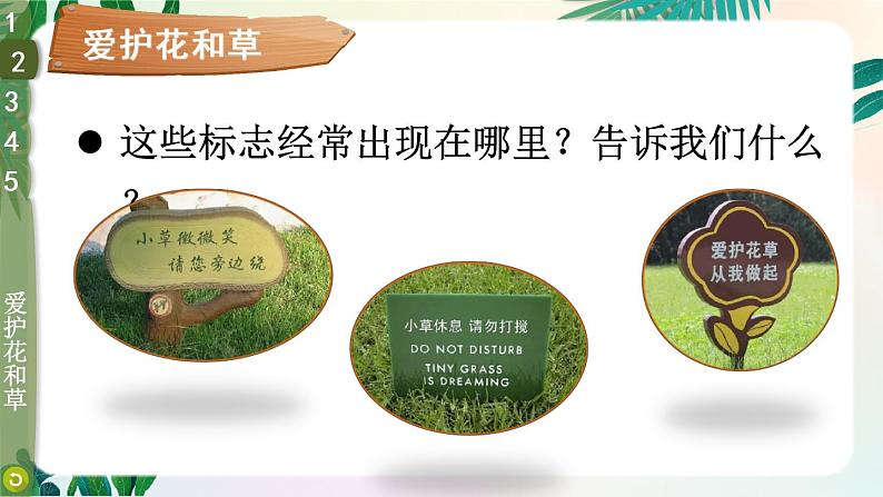 6 花儿草儿真美丽第8页