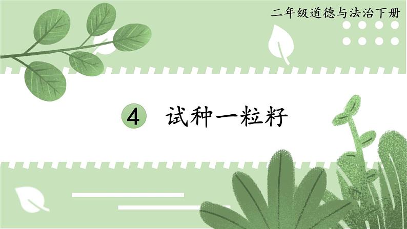 人教版一年级下册道德与法治4 试种一粒籽+视频素材课件PPT01
