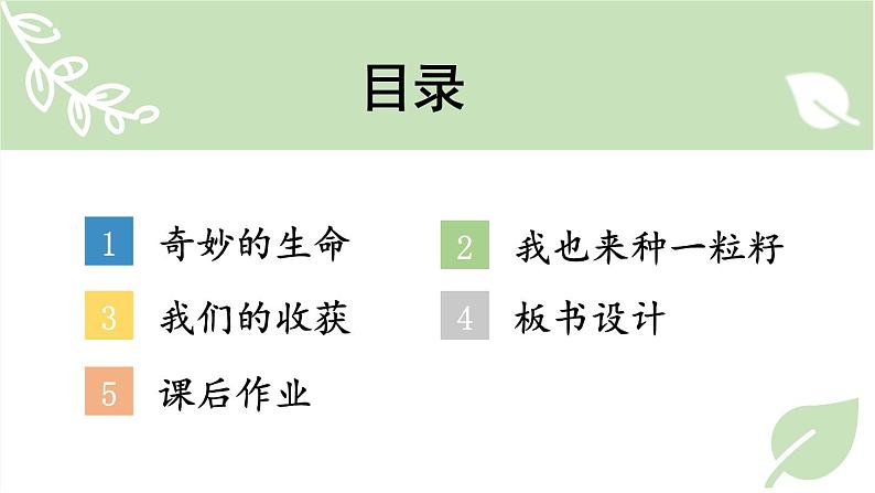 人教版一年级下册道德与法治4 试种一粒籽+视频素材课件PPT03