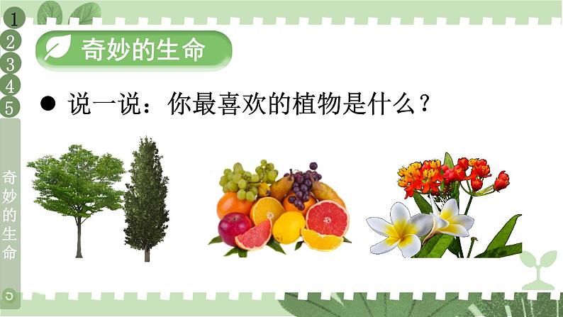 人教版一年级下册道德与法治4 试种一粒籽+视频素材课件PPT04