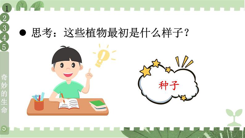 人教版一年级下册道德与法治4 试种一粒籽+视频素材课件PPT05