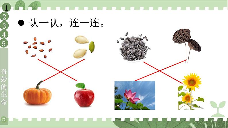 人教版一年级下册道德与法治4 试种一粒籽+视频素材课件PPT07