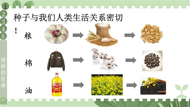 人教版一年级下册道德与法治4 试种一粒籽+视频素材课件PPT08