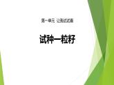 1.4试种一粒籽课件PPT