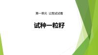 小学政治 (道德与法治)人教部编版二年级下册4 试种一粒籽背景图ppt课件