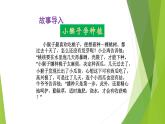 1.4试种一粒籽课件PPT