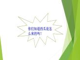 1.4试种一粒籽课件PPT