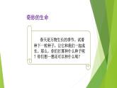 1.4试种一粒籽课件PPT