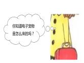 1.8.1这些东西哪里来课件PPT