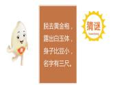 1.7.1我们的衣食之源课件PPT