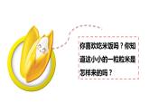 1.7.1我们的衣食之源课件PPT