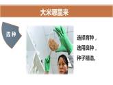 1.7.1我们的衣食之源课件PPT