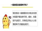 1.7.1我们的衣食之源课件PPT