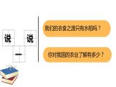 1.7.2我们的衣食之源课件PPT