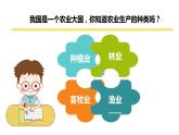 1.7.2我们的衣食之源课件PPT