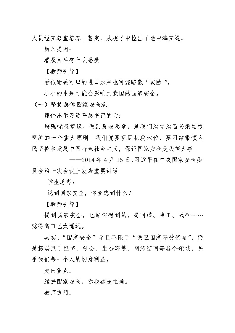第11讲《国家安全是头等大事》教学设计第2页