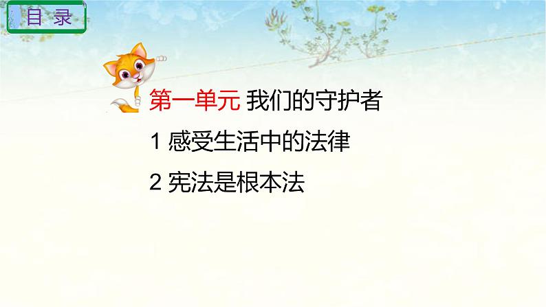 六年级上册道德与法治第一单元我们的守护者复习课件02