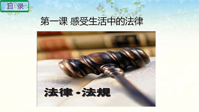 六年级上册道德与法治第一单元我们的守护者复习课件03