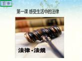 六年级上册道德与法治第一单元我们的守护者复习课件