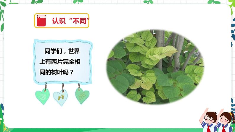 第二课《不一样的你我他》课件第3页